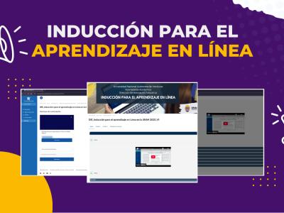 Inducción para matricular clases en línea